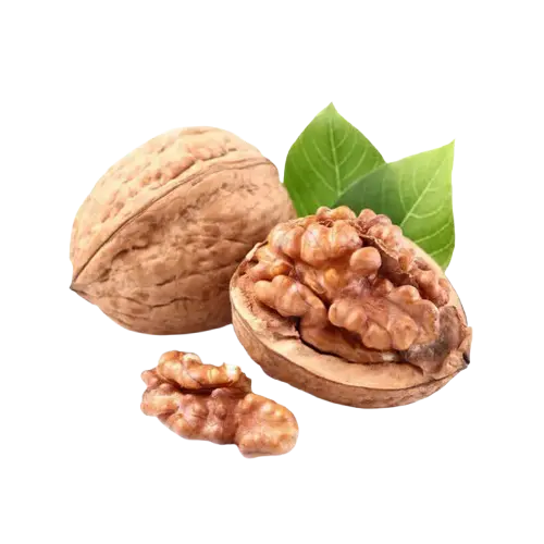 Fresh Nuts